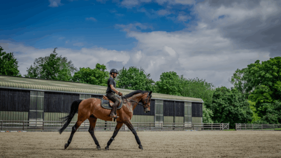 Rednil Riding Stables Stay Connected with Equine News & Updates | RED MILLS