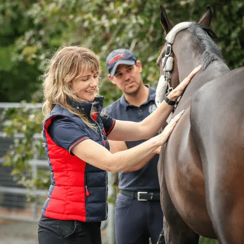 Assessing your horse’s body condition score