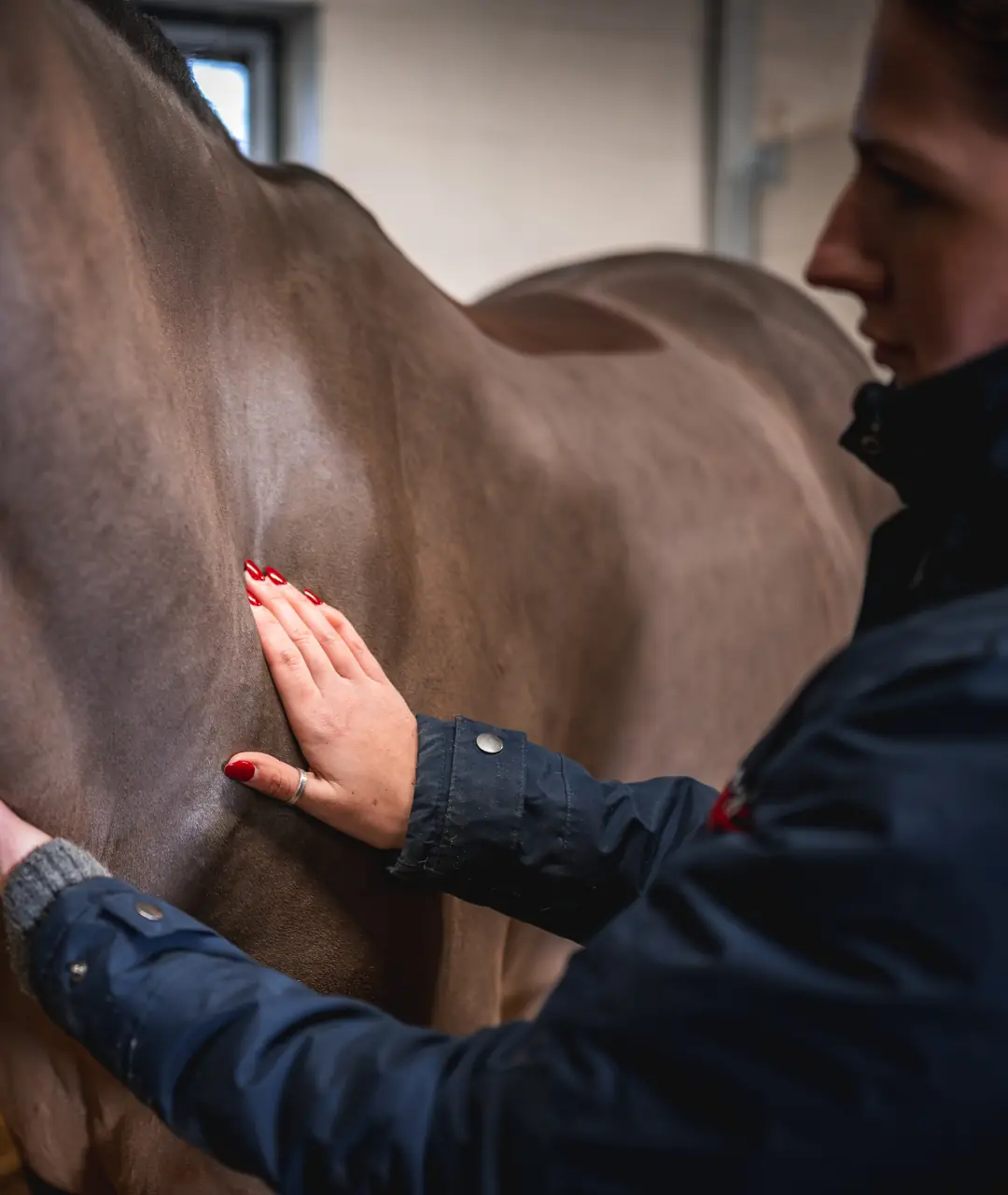Laminitis and Insulin Dysregulation