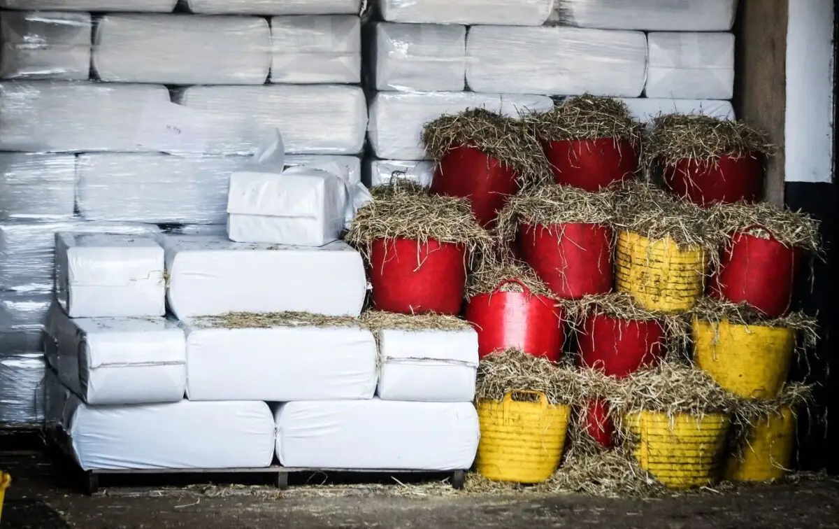 A Practical Guide to Sales Prep – Forage