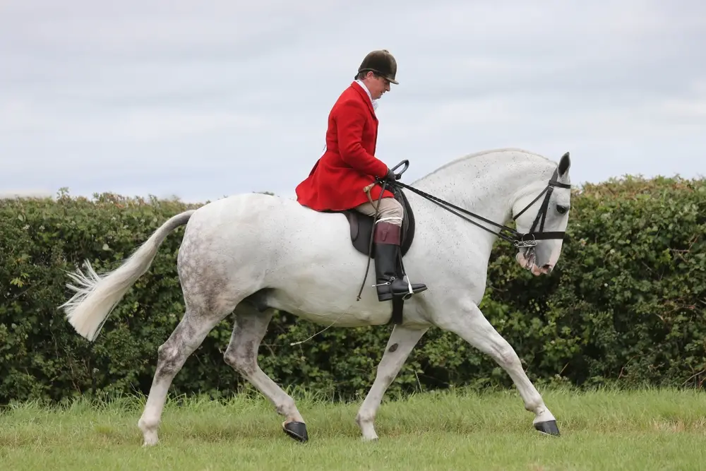 2022 Champion of Champions crowned at Tatts