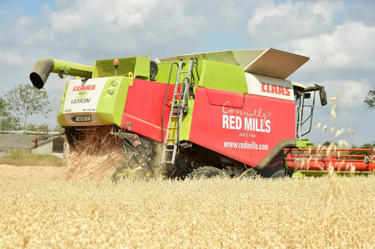 Harvest time at Connolly’s RED MILLS