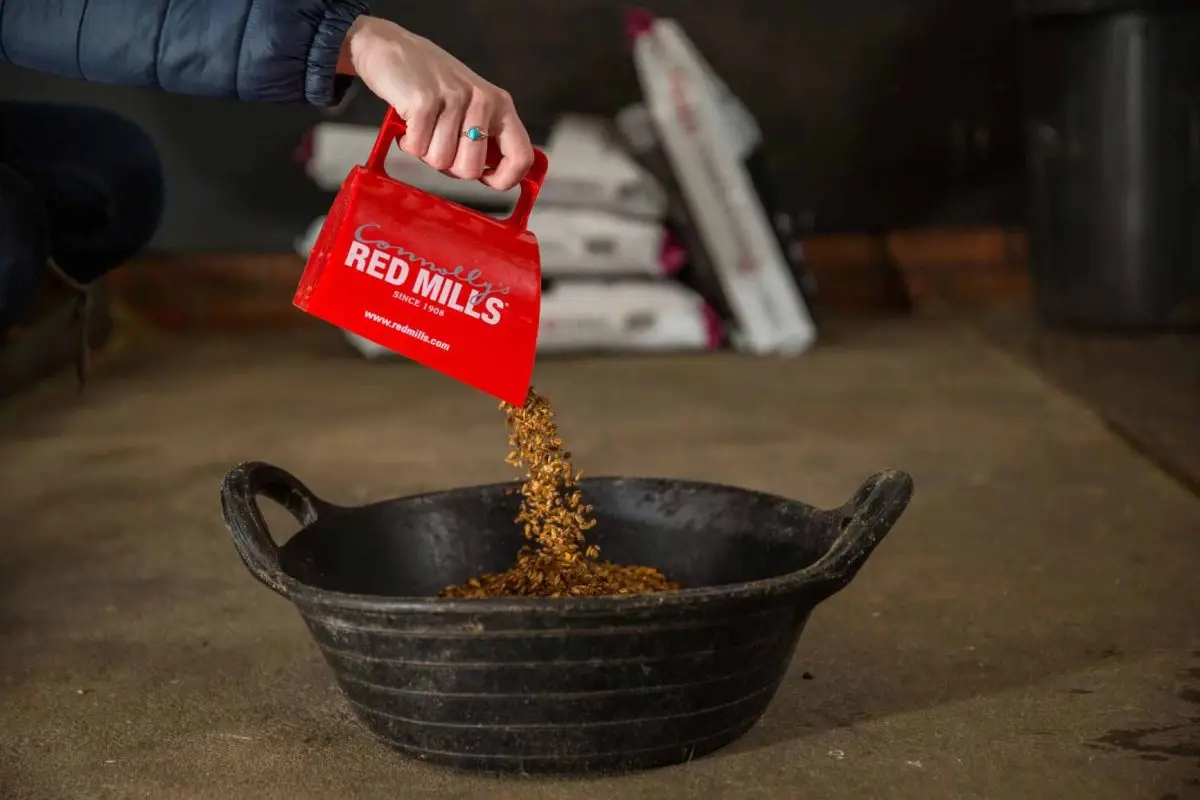 Horse Care: The best just got better!