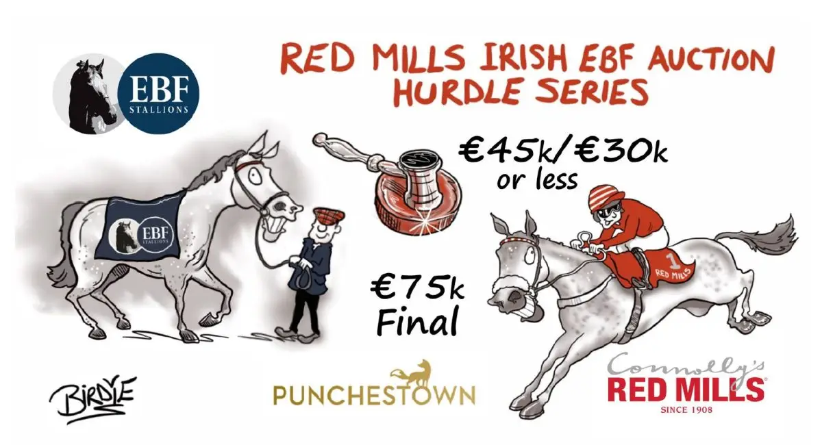 14 Declared for RED MILLS Irish EBF Final