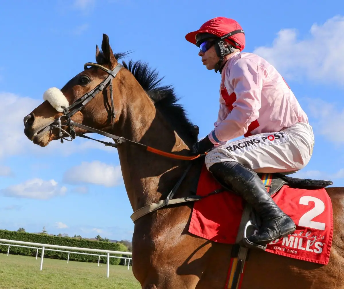 Competitive Line up for €65,000 Red Mills Irish EBF Auction Hurdle Final