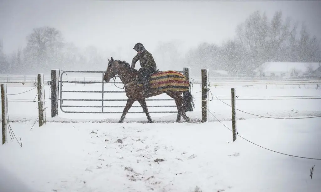 Cold Weather Tips for Horse Owners
