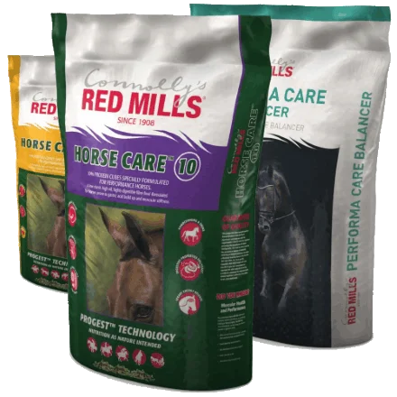 What are the latest products launched for feeding competition horses and what makes them different?