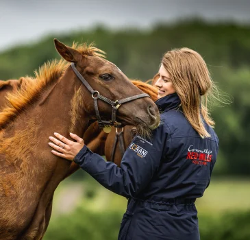 Foal Prep: Preparing your foal for the sales ring