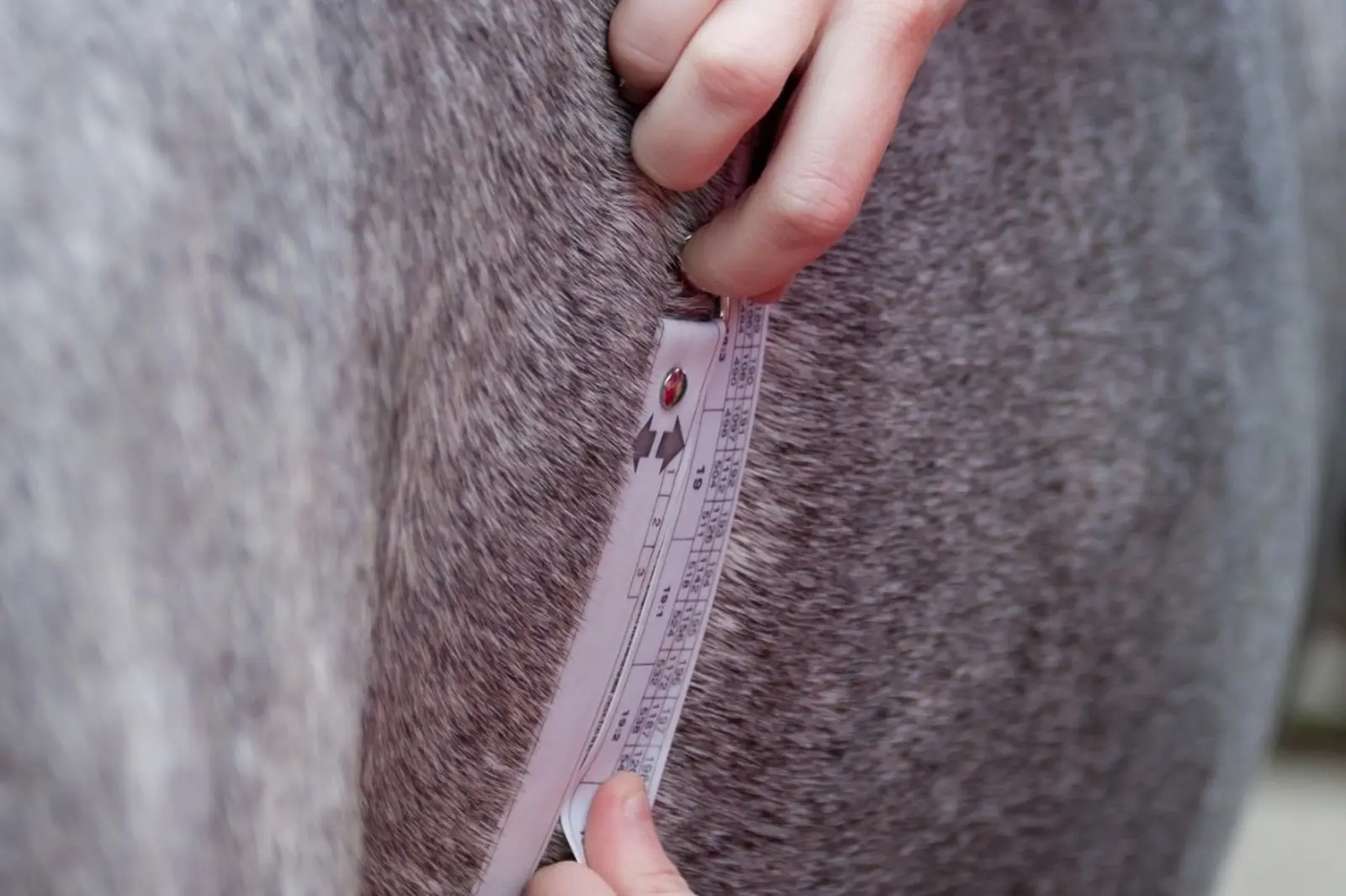 My Horse Is Overweight – Do I Need to Feed Anything at All?
